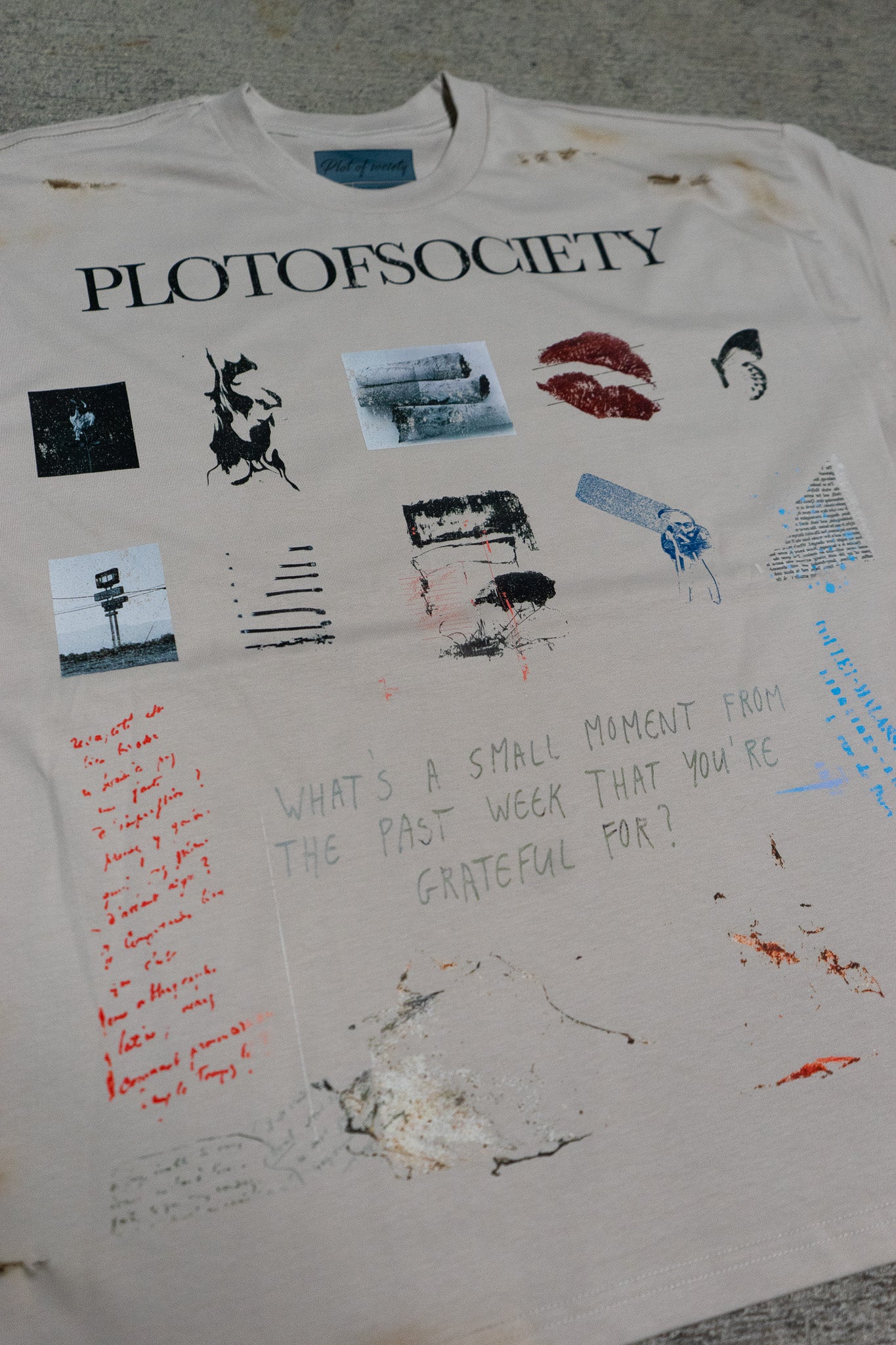 PlotOfSociety Small Moments Distressed Tee