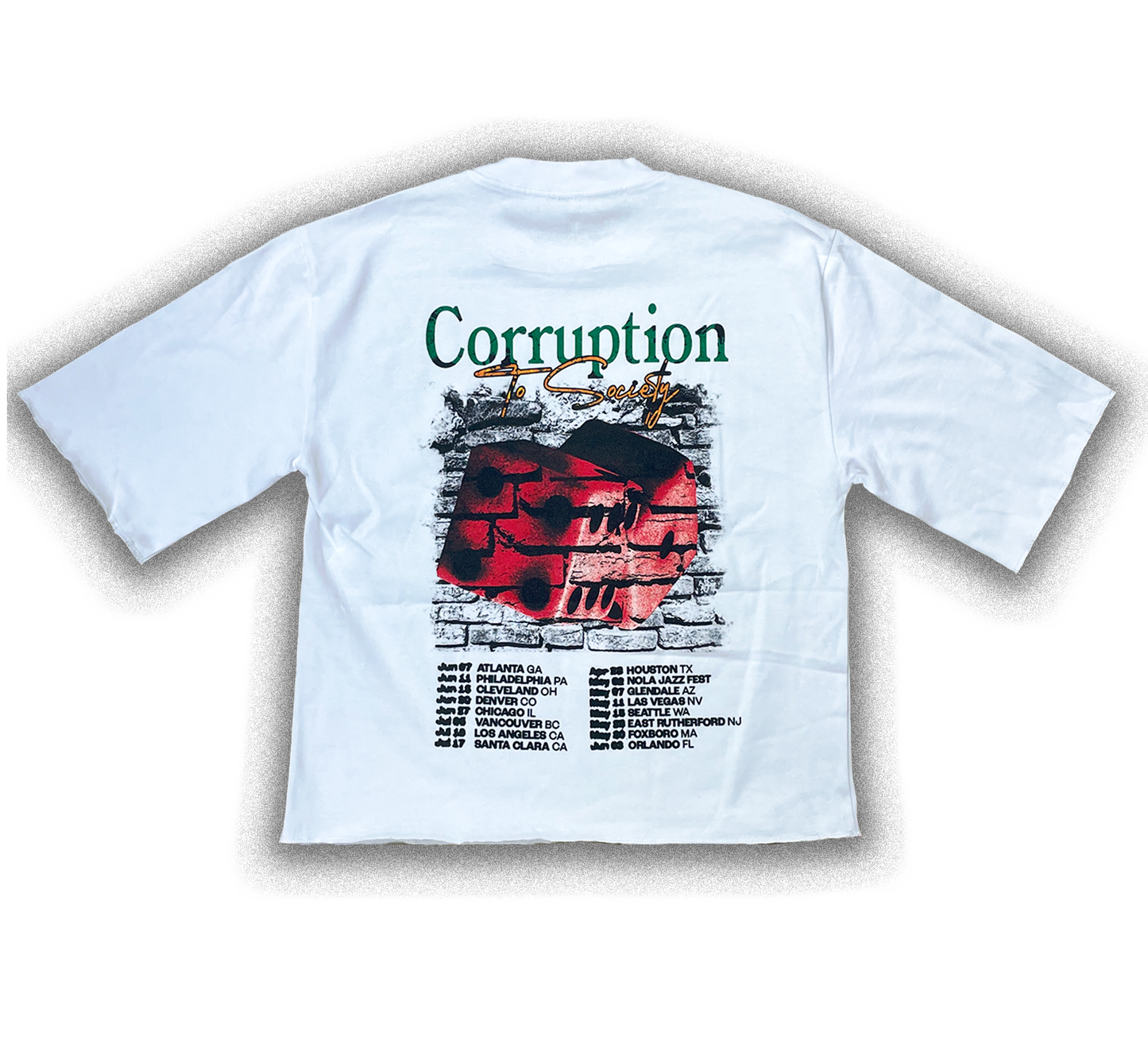 Blessing In Disguise Crop Tee