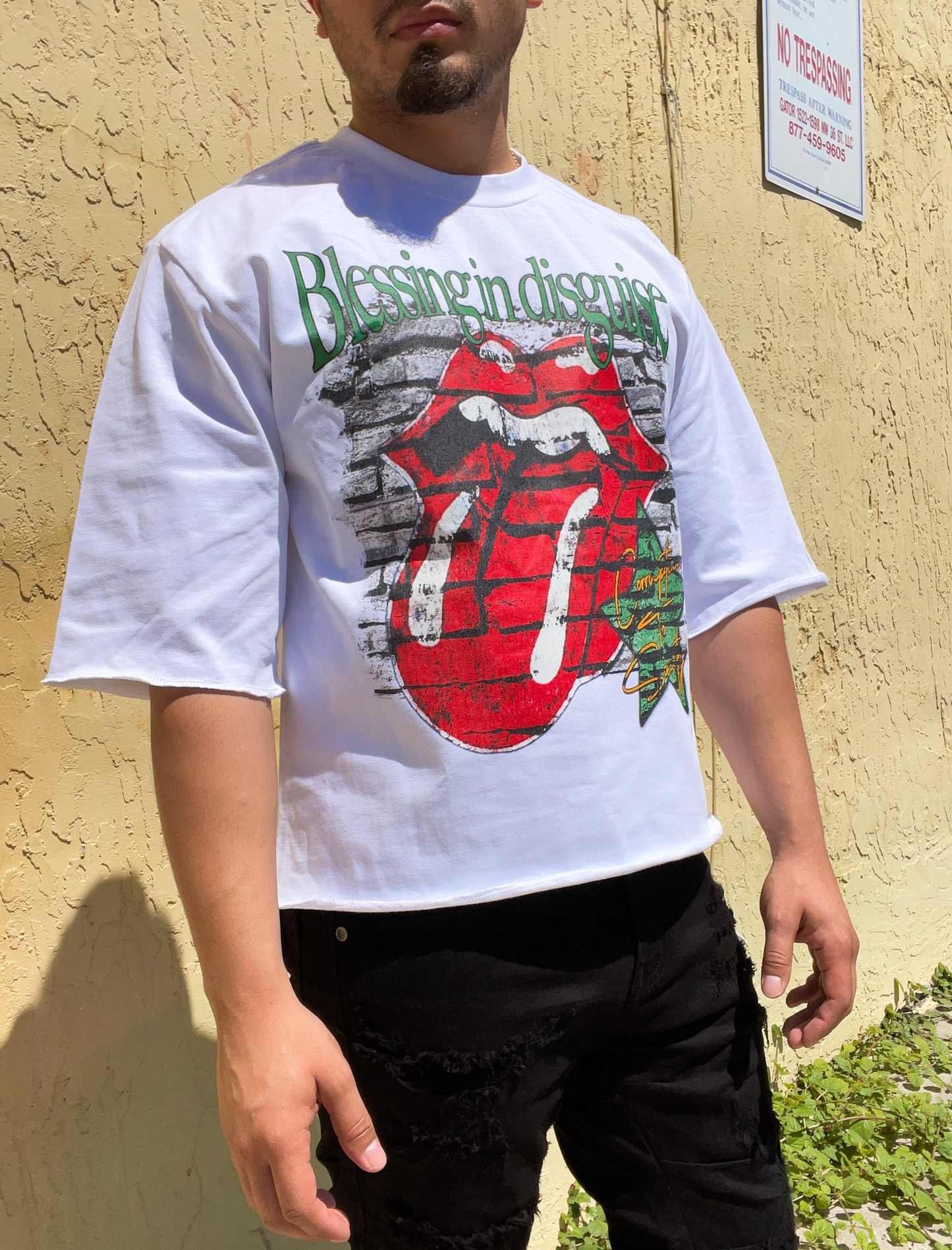 Blessing In Disguise Crop Tee