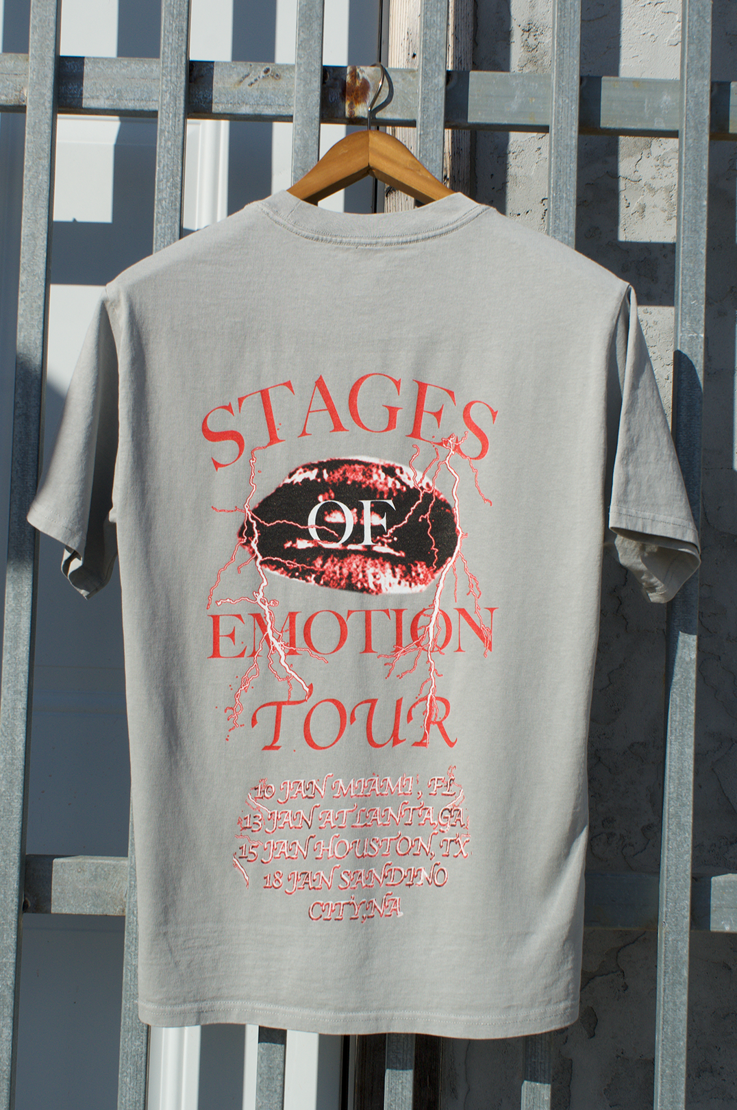 Stages Of Emotion Tour Oversized Tee (Grey)