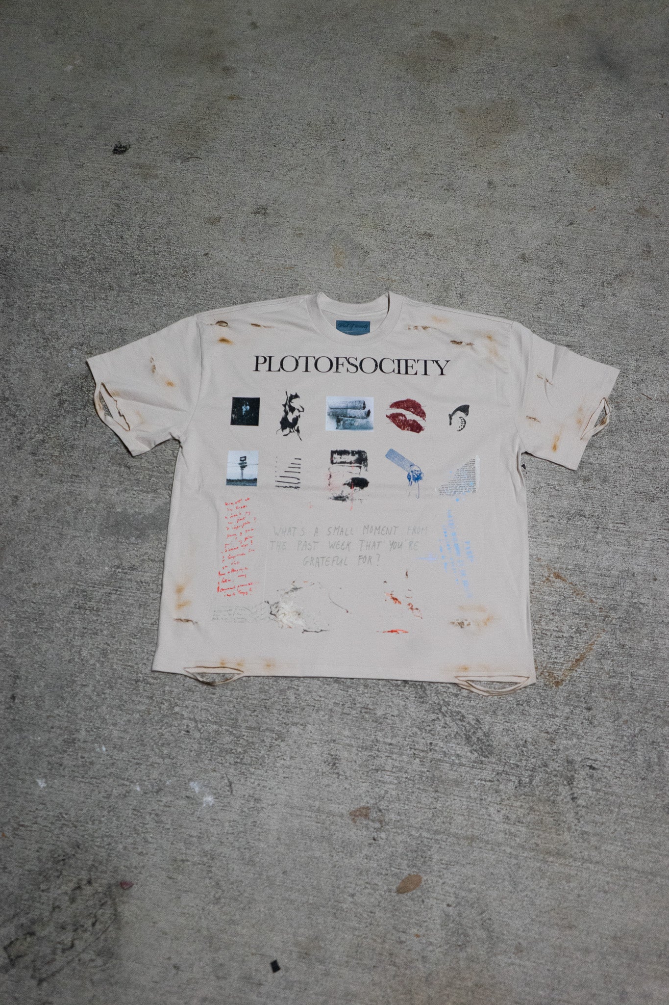 PlotOfSociety Small Moments Distressed Tee