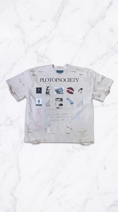 PlotOfSociety Small Moments Distressed Tee